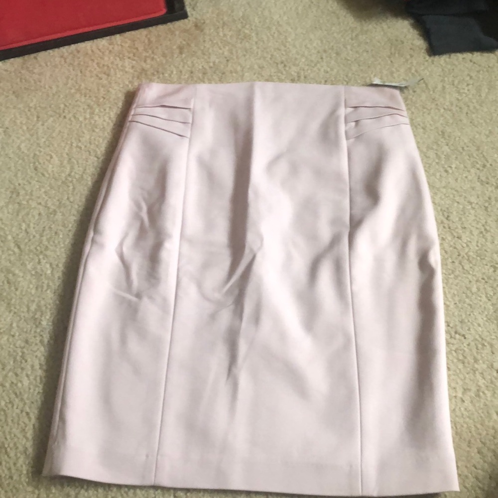 Brand new express skirt